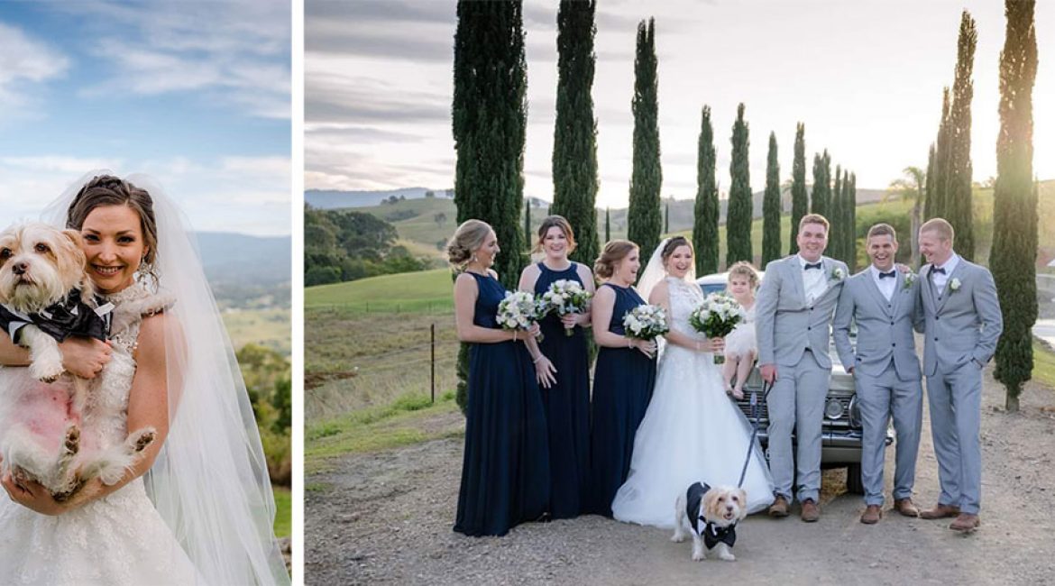 Pet-Friendly Wedding Venue Brisbane