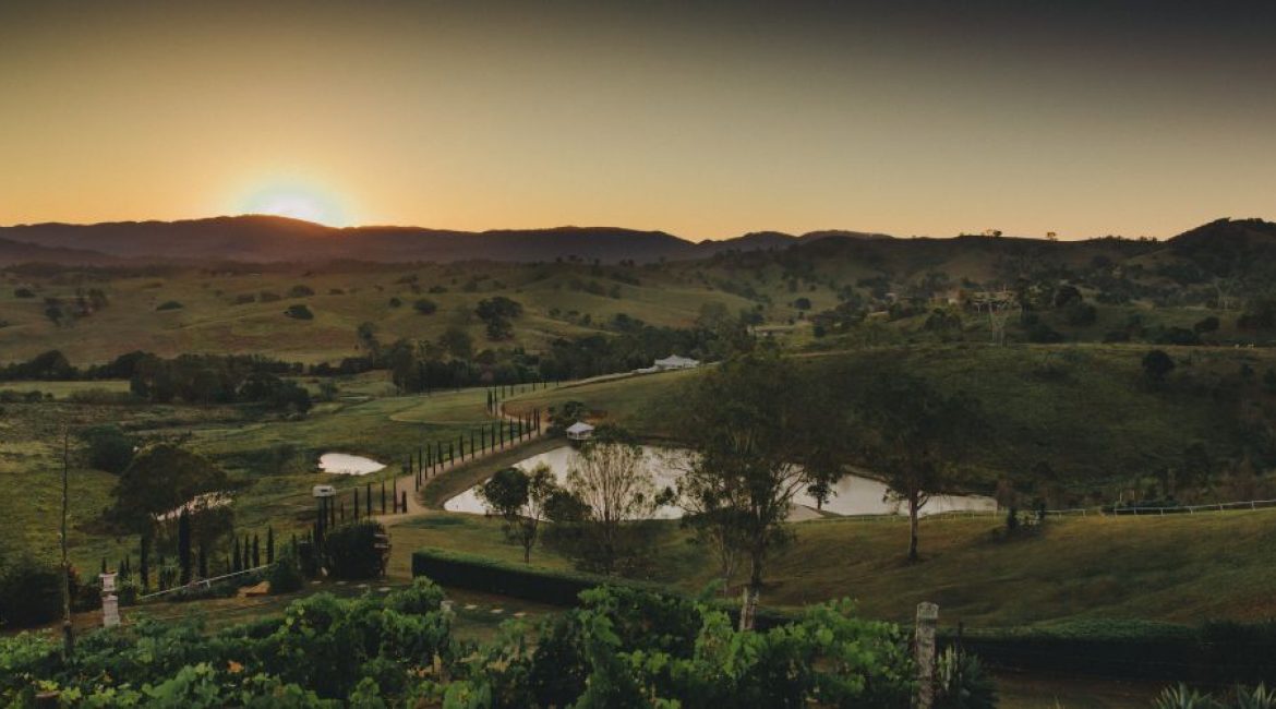 Vineyard Wedding Venue Brisbane