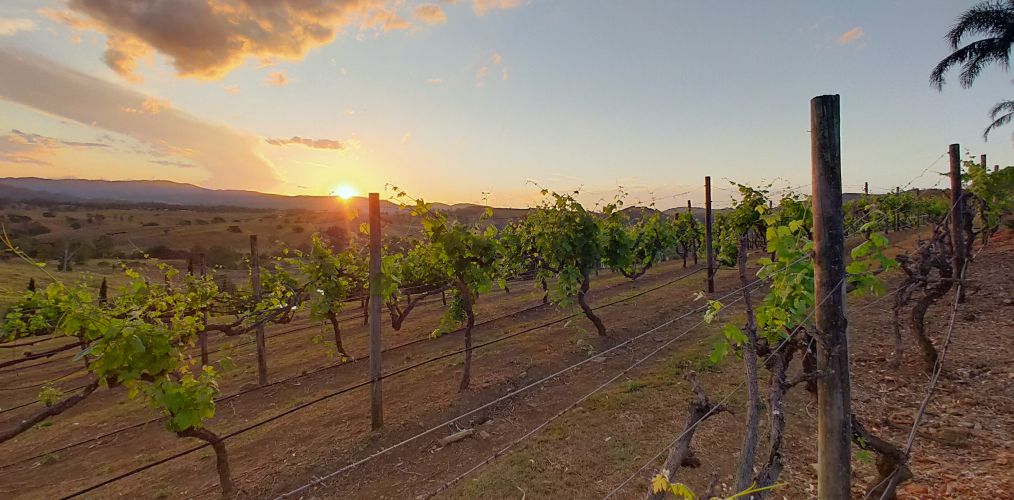 All-Inclusive Wedding Packages Brisbane