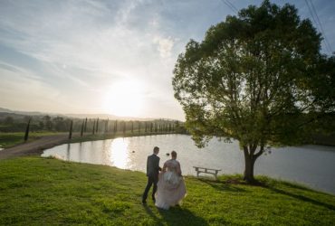 Summer Wedding Tips